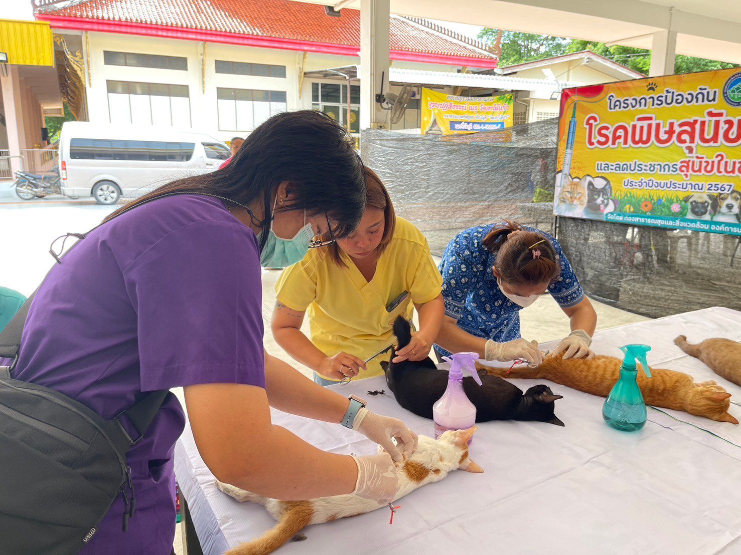 กองสาธารณสุขและสิ่งแวดล้อม ร่วมกับปศุสัตว์จังหวัดชลบุรี จัดกิจกรรมทำหมันสัตว์ ตามโครงการป้องกันโรคพิษสุนัขบ้าและลดประชากรสุนัขในชุมชน ประจำปีงบประมาณ 2567