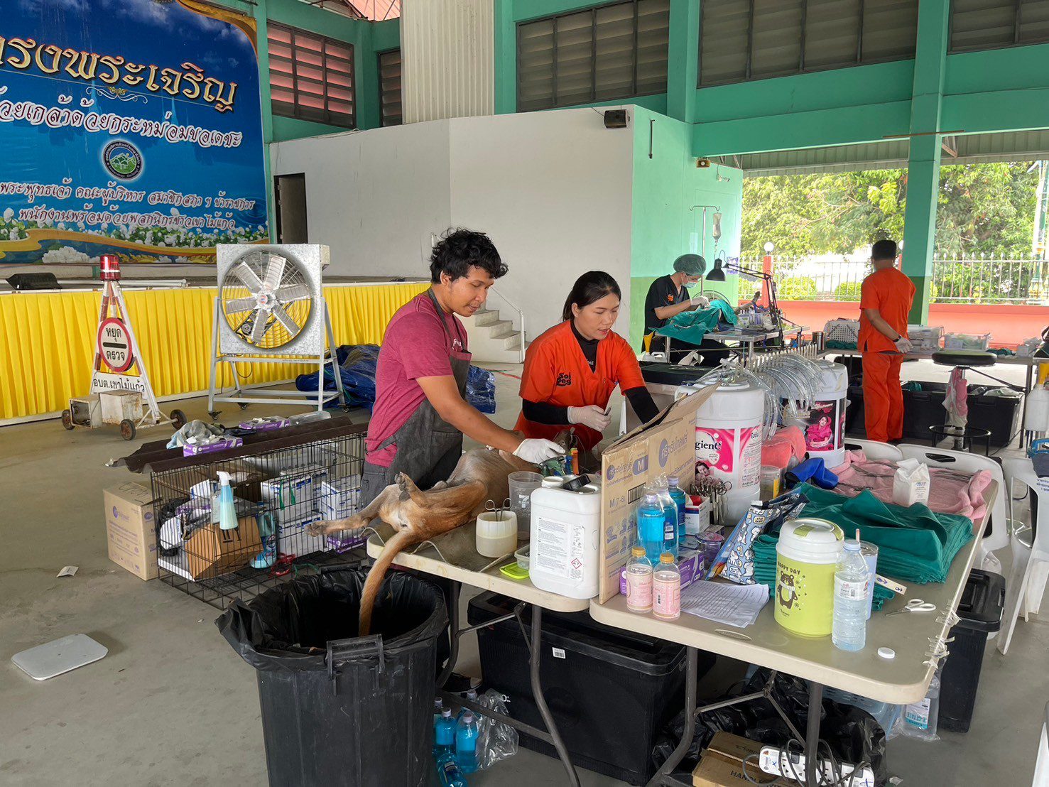 กิจกรรมทำหมันถาวรให้กับสุนัข ตามโครงการ